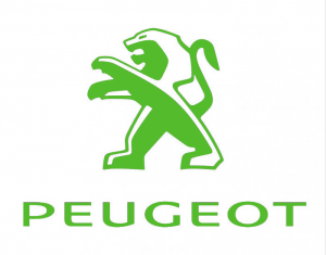 Peugeot Timingset Auto Werkzeug