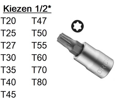 Torx-Bithalter 1/2 T20-T80