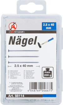 N&auml;gel-Sortiment 200 g 2,5 x 40 mm