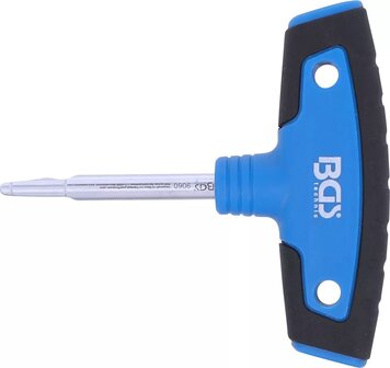 &Ouml;lablassschrauber f&uuml;r VAG