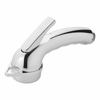 Handbrause Charisma chrom ohne Schlauch