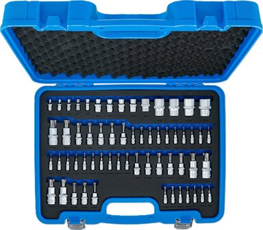 Bit-Einsatz- und Steckschlussel-Einsatz-Satz E-Profil / T-Profil (fur Torx) / T-Profil (fur Torx) mit Bohrung / TP-Profil (fur Torx Plus) 60-tl