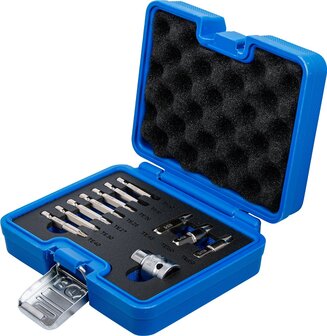 Schrauben-Ausdrehersatz fur beschadigte T-Profil-Schrauben (fur Torx&reg;) T10 &ndash; T55, 11-tlg