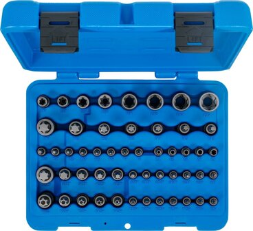 Bit-Einsatz- und Steckschlussel-Einsatz-Satz E-Profil / T-Profil (fur Torx) / T-Profil (fur Torx) mit Bohrung / TP-Profil (fur Torx Plus) 52-tl