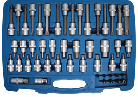 Bit-Einsatz-Satz Antrieb Innenvierkant 12,5 mm (1/2), Au&szlig;ensechskant 8 mm (5/16) 49-tlg