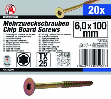 Mehrzweckschrauben T-Profil (fur Torx) T25 6,0 x 100 mm 20 Stuck