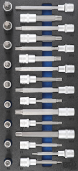 Werkzeugfach 1/3: Bit-Steckschl&uuml;sselsatz 12,5 mm (1/2 Zoll) Spline (f&uuml;r RIBE) 25-tlg.