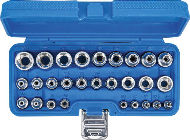 Steckschlussel-Einsatz-Satz E-Profil Antrieb Innenvierkant 6,3 mm 1/4 / 12,5 mm (1/2) SW E4 - E24 28-tlg