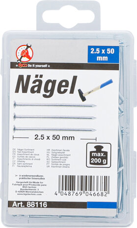 Nägel-Sortiment 200 g 2,5 x 50 mm