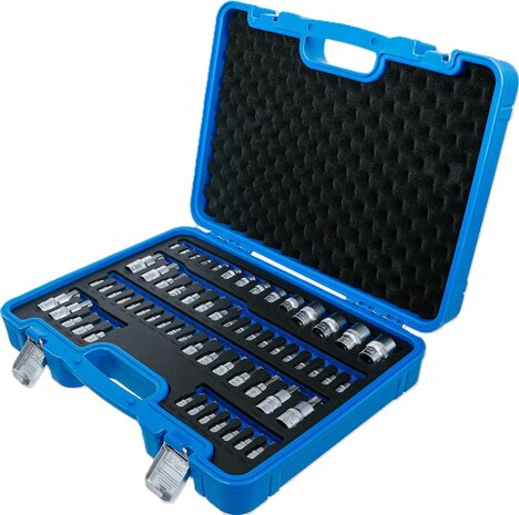 Bit-Einsatz- und Steckschlussel-Einsatz-Satz E-Profil / T-Profil (fur Torx) / T-Profil (fur Torx) mit Bohrung / TP-Profil (fur Torx Plus) 60-tl