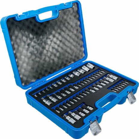 Bit-Einsatz- und Steckschlussel-Einsatz-Satz E-Profil / T-Profil (fur Torx) / T-Profil (fur Torx) mit Bohrung / TP-Profil (fur Torx Plus) 60-tl