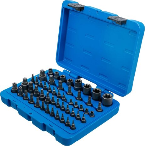 Bit-Einsatz- und Steckschlussel-Einsatz-Satz E-Profil / T-Profil (fur Torx) / T-Profil (fur Torx) mit Bohrung / TP-Profil (fur Torx Plus) 52-tl
