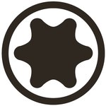 Bit (5/16) Außensechskant T-Profil (für Torx)