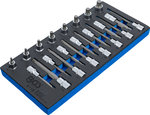 Werkzeugfach 1/3: Bit-Steckschlüsselsatz 12,5 mm (1/2 Zoll) Spline (für XZN) 22-tlg.