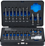 Schraubenausdreher-Satz fur Innensechskant 1,5 - 10 mm / T-Profil (fur Torx) T10 - T55 19-tlg