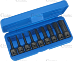 Kraft-Steckschlussel-Einsatz 9-teilig 1/2 Sechskant 4-19 mm