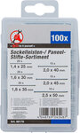 Sockelleisten- / Paneel-Stifte-Sortiment 100-tlg.