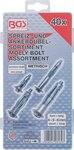 40-teiliges Molly Bolt Sortiment