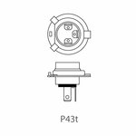 Autolampe 12V 60 55W P43t H4 im Karton