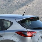 Autoantenne inkl. M5 M6 Adapter