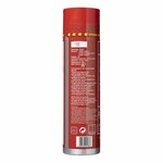 Feuerloscher 0 6L AB F Schaum NL