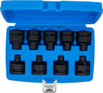 Kraft-Bit-Einsatz-Satz | Antrieb Innenvierkant 20 mm (3/4) | Innensechskant, Innenvielzahn (für XZN) | 9-tlg.