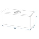 Werkzeugbox Aluminium fur Anhangerseite 600 x 250 x 250 mm