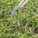 Zelthering 30cm Metall mit offener ose x5 stuck