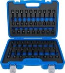 Kraft-Bit-Einsatz-Satz Antrieb Innenvierkant 12,5 mm (1/2) 56-tlg