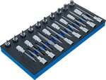 Werkzeugablage 1/3: Bit Socket Set 12,5 mm (1/2 Zoll) T-Star (für Torx) 26 Stück