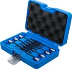 Steckschlussel-Bit-Satz (1/4) T-Profil (fur Torx) mit Kugelkopf T10 - T40, 7-teilig