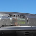 Autofenster-Luftungsgitter
