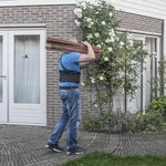 Ruckengurt S 28-3271-81cm