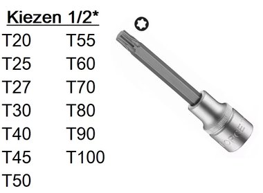 Biteinsätze Torx 1/2 (100mmL)