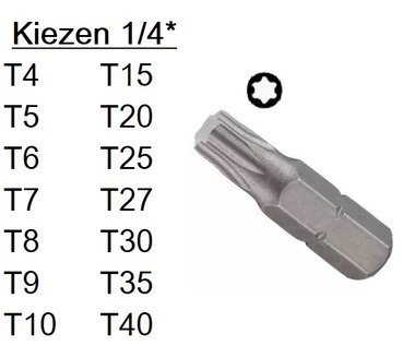 Torx-Bit 1/4 T4-T40