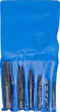 Schraubenausdreher-Satz 6-tlg