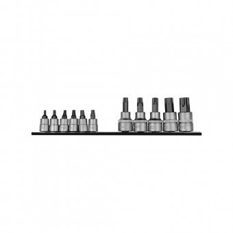 1/4 & 3/8 Nuss Satz Torx 11 tlg